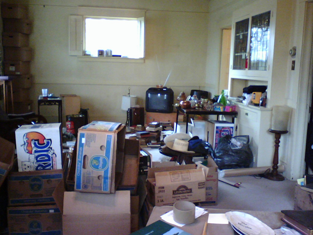 organized chaos